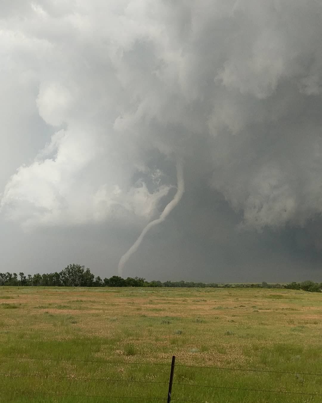 Tornado damage